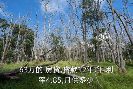 12年年底房貸利率是多少,年底房貸利率還會漲嗎