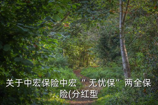 關(guān)于中宏保險中宏“ 無憂?！眱扇ｋU(分紅型