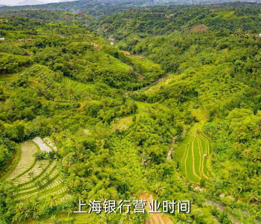 長(zhǎng)春市上海銀行地址電話是多少,上海銀行總行地址和電話