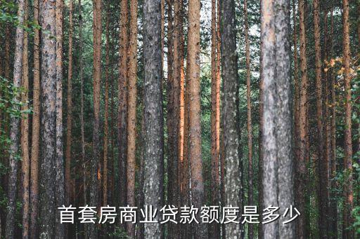 商用房能貸多少錢,租一年的商用房多少錢