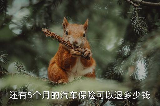 車險(xiǎn)退保費(fèi)能退多少錢
