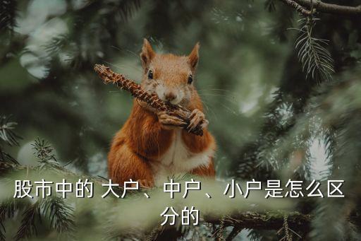 股市中的 大戶、中戶、小戶是怎么區(qū)分的