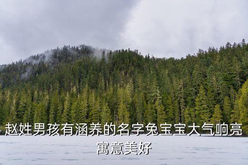趙姓男孩有涵養(yǎng)的名字兔寶寶大氣響亮寓意美好