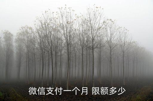 微信轉賬當月限額多少,微信當月轉賬限額怎么解除