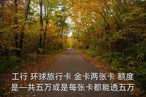 工行 環(huán)球旅行卡 金卡兩張卡 額度是—共五萬(wàn)或是每張卡都能透五萬(wàn)