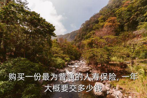 購(gòu)買一份最為普通的人壽保險(xiǎn), 一年大概要交多少錢