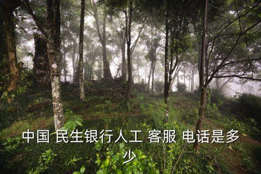 中國(guó) 民生銀行人工 客服 電話是多少