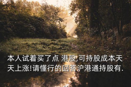 本人試著買了點 港股,可持股成本天天上漲!請懂行的回答滬港通持股有...
