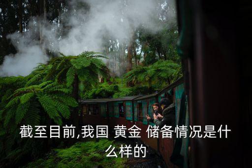 中國(guó)有多少儲(chǔ)備黃金,家庭儲(chǔ)備多少黃金合適