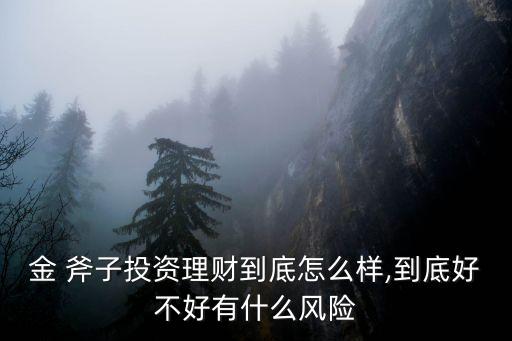 金 斧子投資理財(cái)?shù)降自趺礃?到底好不好有什么風(fēng)險(xiǎn)
