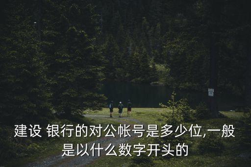 企業(yè)銀行賬戶多少位,網商銀行企業(yè)賬戶有什么用