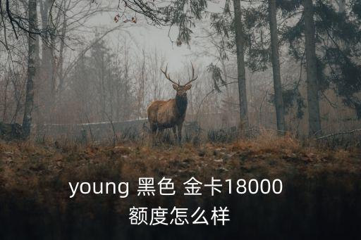 young 黑色 金卡18000 額度怎么樣