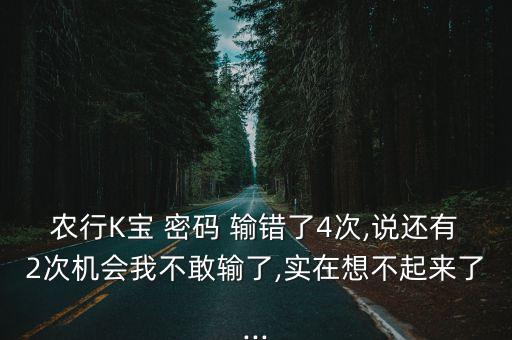 農(nóng)行K寶 密碼 輸錯(cuò)了4次,說(shuō)還有2次機(jī)會(huì)我不敢輸了,實(shí)在想不起來(lái)了...