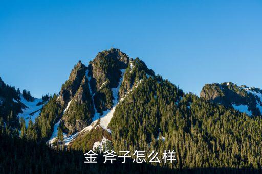 金斧子 多少起投,小金斧子吊墜得多少錢
