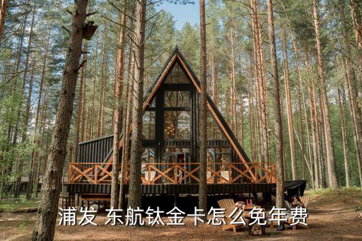  浦發(fā) 東航鈦金卡怎么免年費
