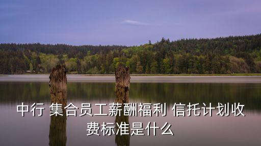 中行 集合員工薪酬福利 信托計(jì)劃收費(fèi)標(biāo)準(zhǔn)是什么
