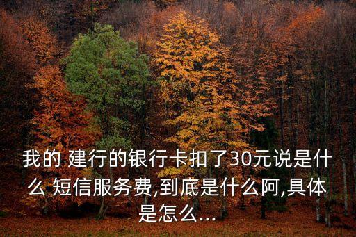 我的 建行的銀行卡扣了30元說(shuō)是什么 短信服務(wù)費(fèi),到底是什么阿,具體是怎么...