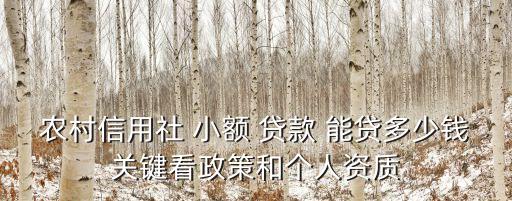 農(nóng)民小額貸款能貸多少,農(nóng)民的小額貸款不還怎么辦
