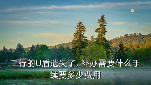 網(wǎng)銀盾補(bǔ)辦多少錢(qián),小銀盾粉底液多少錢(qián)