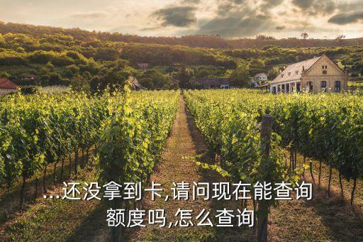 中信下卡怎么查額度是多少
