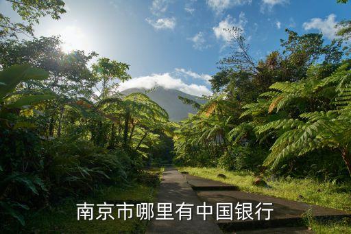 南京市哪里有中國銀行