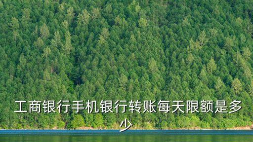  工商銀行手機(jī)銀行轉(zhuǎn)賬每天限額是多少