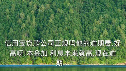 信用寶貸款公司正規(guī)嗎他的逾期費(fèi),好高呀!本金加 利息本來(lái)就高,現(xiàn)在逾期...