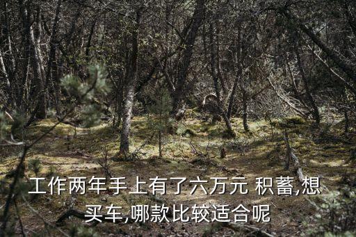 積蓄多少錢能買車,買車應(yīng)該拿出來(lái)積蓄多少合適
