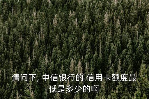 請問下, 中信銀行的 信用卡額度最低是多少的啊