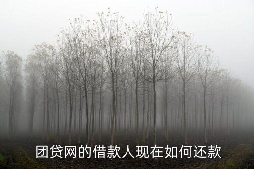  團(tuán)貸網(wǎng)的借款人現(xiàn)在如何還款