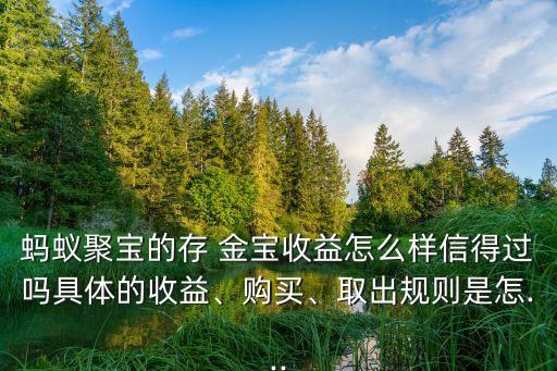 今日存金寶多少一克,存金寶一年分多少紅