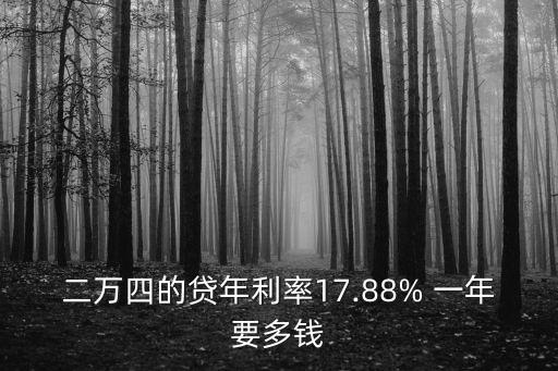 二萬四的貸年利率17.88% 一年要多錢