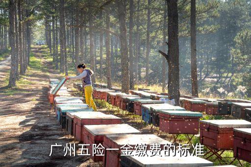  廣州五險一金繳費的標準