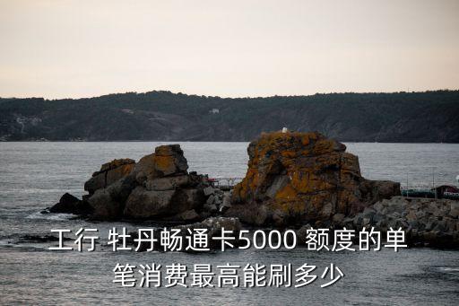 工銀牡丹運(yùn)通普卡額度是多少