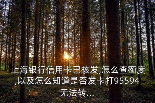  上海銀行信用卡已核發(fā),怎么查額度,以及怎么知道是否發(fā)卡打95594無法轉(zhuǎn)...