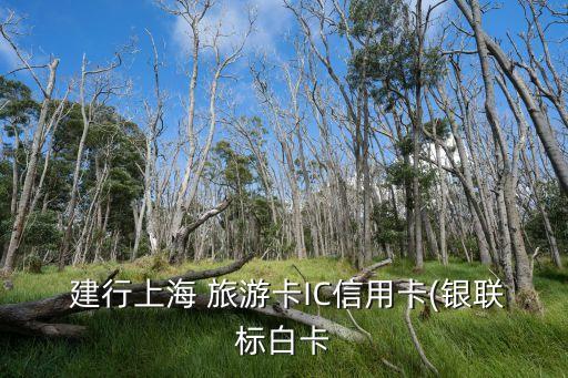  建行上海 旅游卡IC信用卡(銀聯(lián)標(biāo)白卡