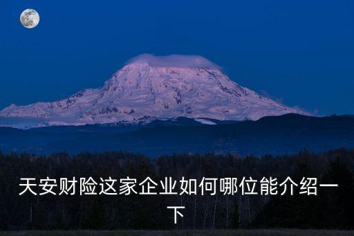  天安財(cái)險(xiǎn)這家企業(yè)如何哪位能介紹一下