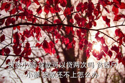 扶貧小額 貸款可以貸兩次嗎 貧困戶小額 貸款還不上怎么辦