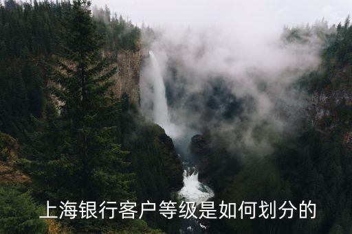  上海銀行客戶等級是如何劃分的
