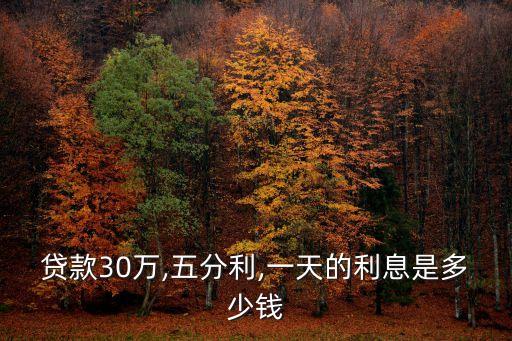 貸款30萬,五分利,一天的利息是多少錢