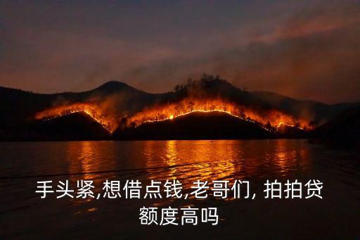 拍拍貸最高可借多少錢