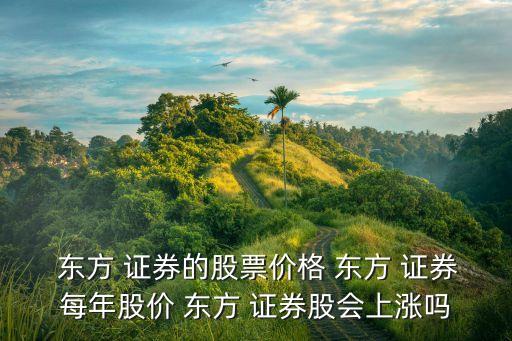  東方 證券的股票價(jià)格 東方 證券每年股價(jià) 東方 證券股會(huì)上漲嗎