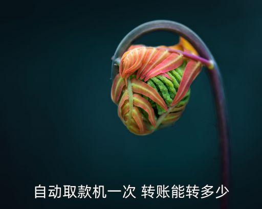 轉(zhuǎn)賬一次可以多少,柜員機(jī)一次可以轉(zhuǎn)賬多少
