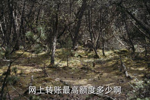 網(wǎng)銀轉(zhuǎn)帳一次轉(zhuǎn)多少,網(wǎng)銀對公轉(zhuǎn)帳晚上可以轉(zhuǎn)嗎