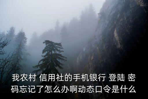 我農(nóng)村 信用社的手機銀行 登陸 密碼忘記了怎么辦啊動態(tài)口令是什么