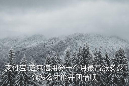 支付寶 芝麻信用分一個月最高漲多少分怎么才能開團借唄