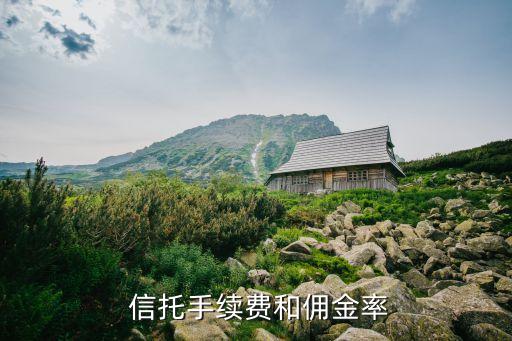  信托手續(xù)費(fèi)和傭金率