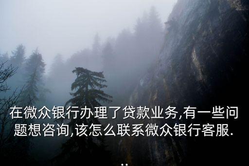 在微眾銀行辦理了貸款業(yè)務(wù),有一些問題想咨詢,該怎么聯(lián)系微眾銀行客服...