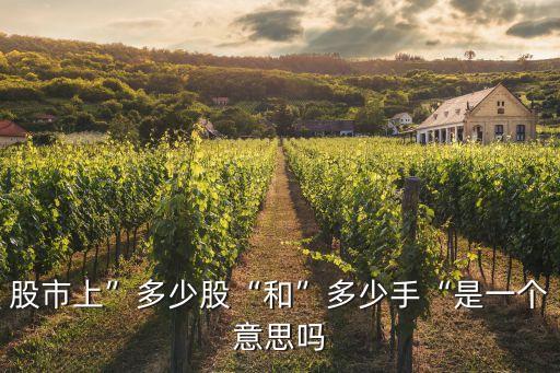 股市上”多少股“和”多少手“是一個意思嗎
