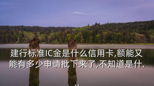 建行標(biāo)準(zhǔn)IC金是什么信用卡,額能又能有多少申請(qǐng)批下來(lái)了,不知道是什...